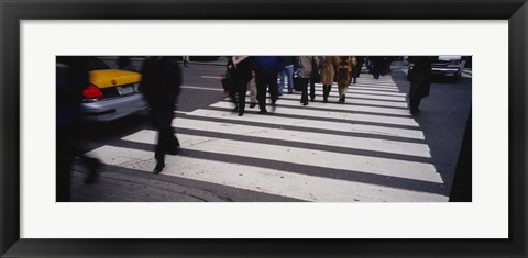 Framed Group of people crossing at a zebra crossing, New York City, New York State, USA Print