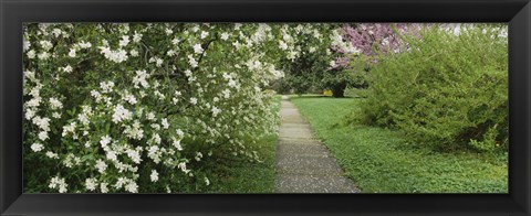 Framed Path In A Park, Richmond, Virginia, USA Print