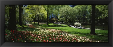 Framed Flowers in a park, Central Park, Manhattan, New York City, New York State, USA Print