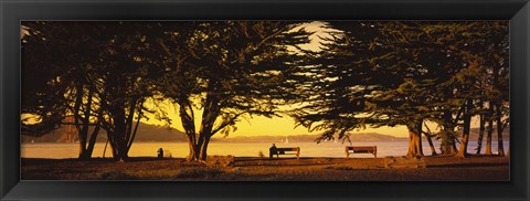 Framed Trees In A Field, Crissy Field, San Francisco, California, USA Print