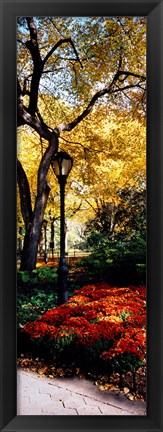 Framed Lamppost in a park, Central Park, Manhattan, New York City, New York, USA Print