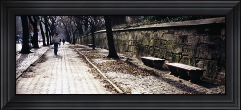 Framed Rear view of a woman walking on a walkway, Central Park, Manhattan, New York City, New York, USA Print