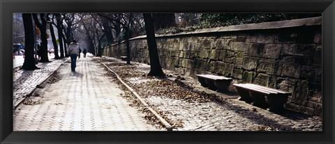 Framed Rear view of a woman walking on a walkway, Central Park, Manhattan, New York City, New York, USA Print