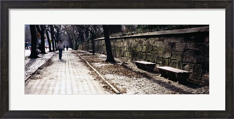 Framed Rear view of a woman walking on a walkway, Central Park, Manhattan, New York City, New York, USA Print