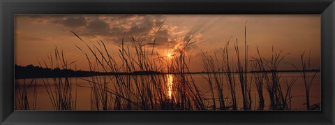 Framed Sunset over a lake, Lake Travis, Austin, Texas Print