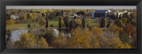 Framed High angle view of trees, Denver, Colorado, USA Print