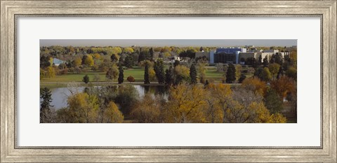 Framed High angle view of trees, Denver, Colorado, USA Print
