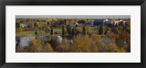 Framed High angle view of trees, Denver, Colorado, USA Print