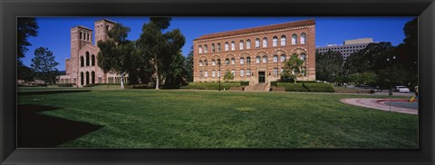 Framed Lawn in front of a Royce Hall and Haines Hall, University of California, City of Los Angeles, California, USA Print