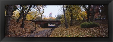 Framed Bridge in a park, Central Park, Manhattan, New York City, New York State, USA Print