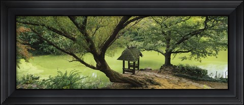Framed Trees near a pond, Central Park, Manhattan, New York City, New York State, USA Print