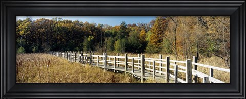Framed Boardwalk passing through a forest, University of Wisconsin Arboretum, Madison, Dane County, Wisconsin, USA Print