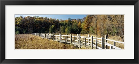 Framed Boardwalk passing through a forest, University of Wisconsin Arboretum, Madison, Dane County, Wisconsin, USA Print