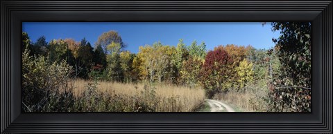 Framed Dirt road passing through a forest, University of Wisconsin Arboretum, Madison, Dane County, Wisconsin, USA Print