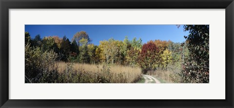 Framed Dirt road passing through a forest, University of Wisconsin Arboretum, Madison, Dane County, Wisconsin, USA Print