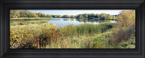 Framed Reflection of trees in water, Odana Hills Golf Course, Madison, Dane County, Wisconsin, USA Print