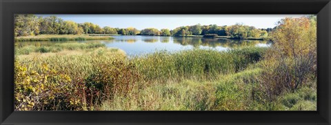 Framed Reflection of trees in water, Odana Hills Golf Course, Madison, Dane County, Wisconsin, USA Print