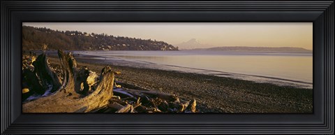 Framed Driftwood on the beach, Discovery Park, Mt Rainier, Seattle, King County, Washington State, USA Print