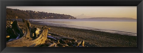 Framed Driftwood on the beach, Discovery Park, Mt Rainier, Seattle, King County, Washington State, USA Print
