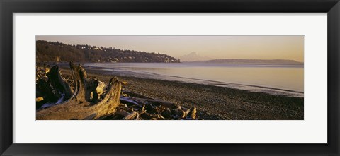 Framed Driftwood on the beach, Discovery Park, Mt Rainier, Seattle, King County, Washington State, USA Print