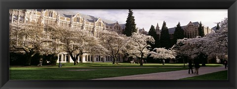 Framed University of Washington, Seattle, King County, Washington State Print
