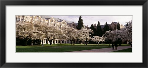 Framed University of Washington, Seattle, King County, Washington State Print