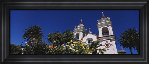 Framed Plants in front of a cathedral, Portuguese Cathedral, San Jose, Silicon Valley, Santa Clara County, California, USA Print