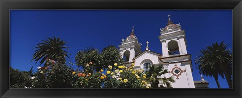 Framed Plants in front of a cathedral, Portuguese Cathedral, San Jose, Silicon Valley, Santa Clara County, California, USA Print