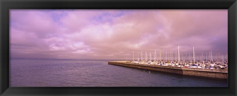 Framed Yachts moored at a harbor, San Francisco Bay, San Francisco, California, USA Print