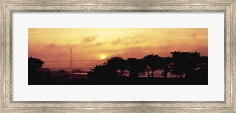Framed Silhouette of trees at dusk with a bridge in the background, Golden Gate Bridge, San Francisco, California, USA Print
