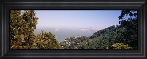 Framed Trees on a hill, Sausalito, San Francisco Bay, Marin County, California Print