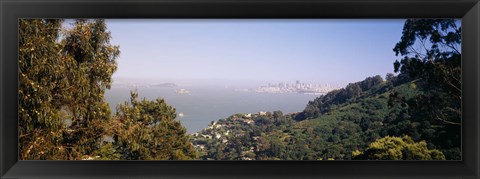 Framed Trees on a hill, Sausalito, San Francisco Bay, Marin County, California Print