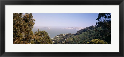 Framed Trees on a hill, Sausalito, San Francisco Bay, Marin County, California Print