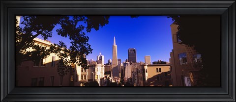 Framed Buildings in a city, Telegraph Hill, Transamerica Pyramid, San Francisco, California, USA Print
