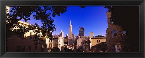 Framed Buildings in a city, Telegraph Hill, Transamerica Pyramid, San Francisco, California, USA Print