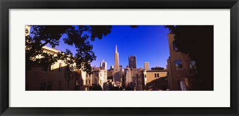 Framed Buildings in a city, Telegraph Hill, Transamerica Pyramid, San Francisco, California, USA Print