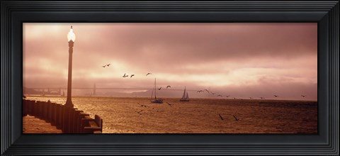 Framed Sailboats in the sea, San Francisco Bay, Golden Gate Bridge, San Francisco, California, USA Print
