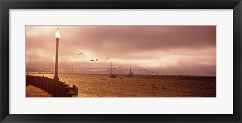 Framed Sailboats in the sea, San Francisco Bay, Golden Gate Bridge, San Francisco, California, USA Print