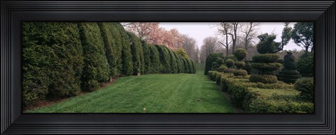 Framed Hedge in a formal garden, Ladew Topiary Gardens, Monkton, Baltimore County, Maryland Print