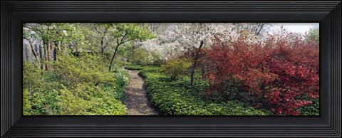 Framed Trees in a garden, Garden of Eden, Ladew Topiary Gardens, Monkton, Baltimore County, Maryland, USA Print