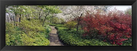 Framed Trees in a garden, Garden of Eden, Ladew Topiary Gardens, Monkton, Baltimore County, Maryland, USA Print