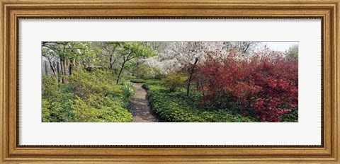 Framed Trees in a garden, Garden of Eden, Ladew Topiary Gardens, Monkton, Baltimore County, Maryland, USA Print