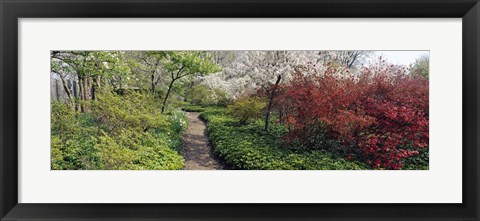 Framed Trees in a garden, Garden of Eden, Ladew Topiary Gardens, Monkton, Baltimore County, Maryland, USA Print