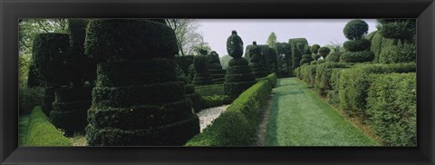 Framed Sculptures formed from trees and plants in a garden, Ladew Topiary Gardens, Monkton, Baltimore County, Maryland, USA Print