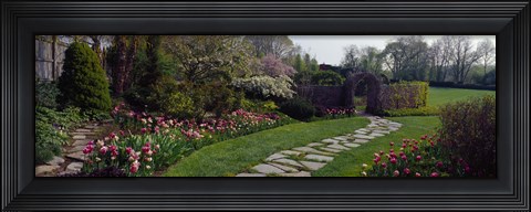 Framed Flowers in a garden, Ladew Topiary Gardens, Monkton, Baltimore County, Maryland, USA Print