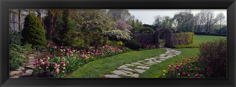 Framed Flowers in a garden, Ladew Topiary Gardens, Monkton, Baltimore County, Maryland, USA Print