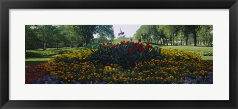 Framed Flowers in a park, Grant Park, Chicago, Cook County, Illinois, USA Print