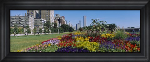 Framed Flowers in a garden, Welcome Garden, Grant Park, Michigan Avenue, Roosevelt Road, Chicago, Cook County, Illinois, USA Print