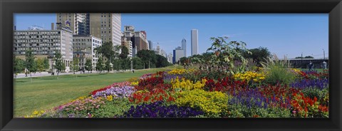 Framed Flowers in a garden, Welcome Garden, Grant Park, Michigan Avenue, Roosevelt Road, Chicago, Cook County, Illinois, USA Print