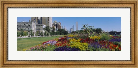 Framed Flowers in a garden, Welcome Garden, Grant Park, Michigan Avenue, Roosevelt Road, Chicago, Cook County, Illinois, USA Print
